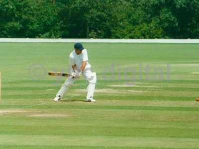 Cricket 001-2