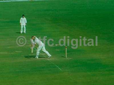 Cricket 019 copy 3