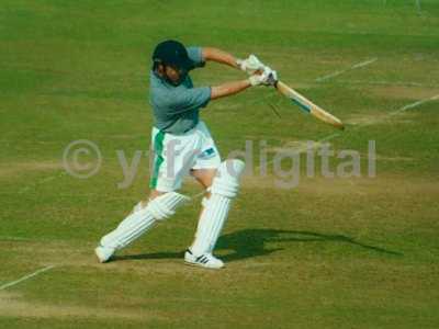 Cricket 020-1