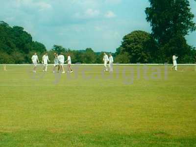 Cricket 025 copy 3