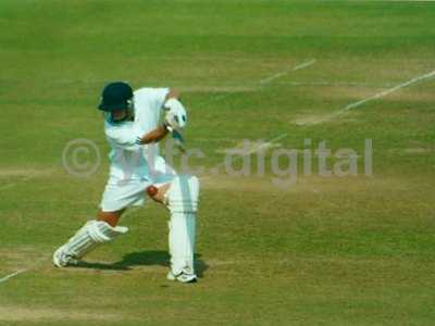 Cricket 026 copy