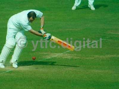 Cricket 028 copy 2