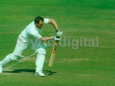 Cricket 028-1
