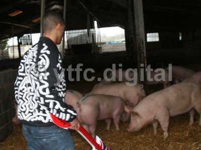 Leon pigs 101